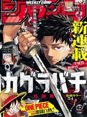 吸血鬼骑士漫画续篇阶段手账卡片